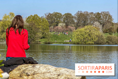Les cerisiers et arbres en fleurs de l’Arboretum de Chevreloup