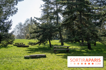 Les cerisiers et arbres en fleurs de l’Arboretum de Chevreloup