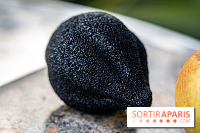 Le Meurice à la Maison