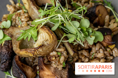 Le Meurice à la Maison