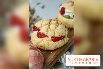 Photos : Mochi Mochi Aki