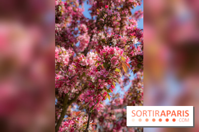 Jardin Catherine Labouré et le Jardin du Potager