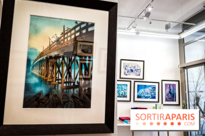 Shizen, l'expo gratuite de Benjamin Lacombe à la galerie Daniel Maghen - nos photos