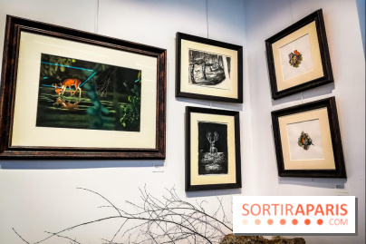 Shizen, l'expo gratuite de Benjamin Lacombe à la galerie Daniel Maghen - nos photos