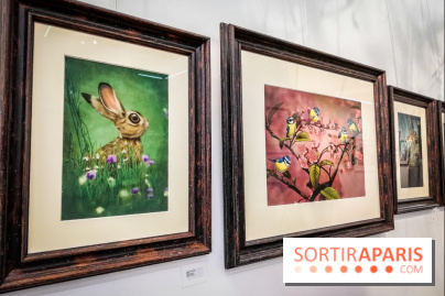 Shizen, l'expo gratuite de Benjamin Lacombe à la galerie Daniel Maghen - nos photos