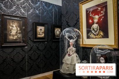 Shizen, l'expo gratuite de Benjamin Lacombe à la galerie Daniel Maghen - nos photos