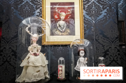 Shizen, l'expo gratuite de Benjamin Lacombe à la galerie Daniel Maghen - nos photos