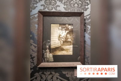 Shizen, l'expo gratuite de Benjamin Lacombe à la galerie Daniel Maghen - nos photos