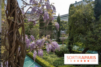 La Mosquée de Paris et son jardin en fleurs