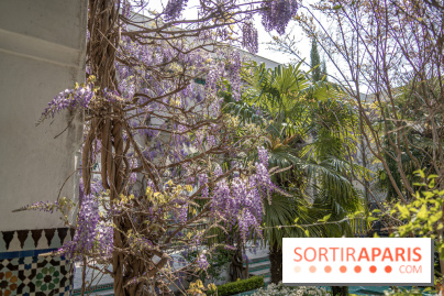 La Mosquée de Paris et son jardin en fleurs