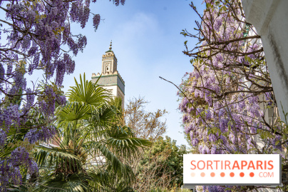 La Mosquée de Paris et son jardin en fleurs