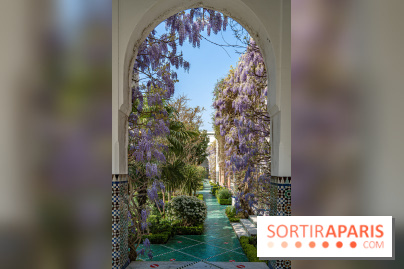 La Mosquée de Paris et son jardin en fleurs