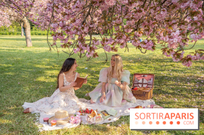 Le Parc de Sceaux et ses cerisiers en fleurs