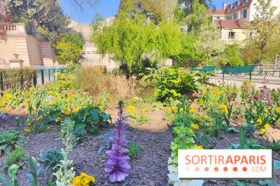 Les Arènes de Lutèce à Paris - fotor 1743591951459