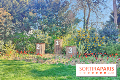 Les Arènes de Lutèce à Paris - fotor 1743591864239