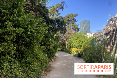Les Arènes de Lutèce à Paris