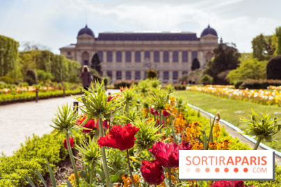 Photos : exposition Fragiles colosses au Jardin des Plantes