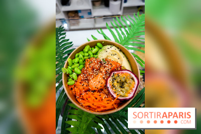 Pokelife, les photos