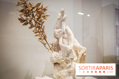 Picasso-Rodin : l'exposition se prolonge au Musée Rodin - nos photos