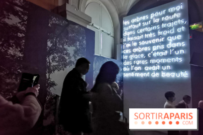 Nous vous aimons, Madame : l'expo hommage à Simone Veil à l'Hôtel de Ville de Paris - nos photos