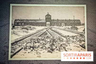 Nous vous aimons, Madame : l'expo hommage à Simone Veil à l'Hôtel de Ville de Paris - nos photos