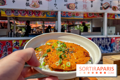 Hanami Paris, Ła terrasse éphémère du Trocadéro - IMG 4490