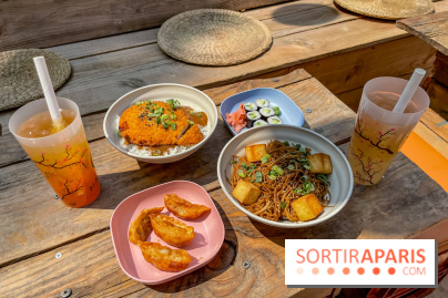 Hanami Paris, Ła terrasse éphémère du Trocadéro - IMG 4501