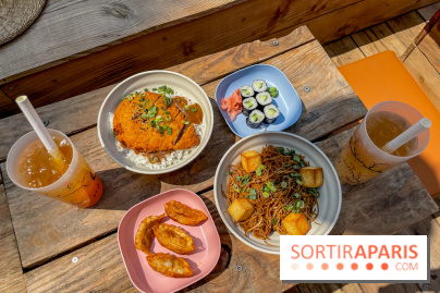 Hanami Paris, Ła terrasse éphémère du Trocadéro - IMG 4502