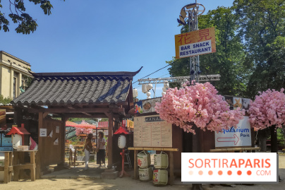 Hanami Paris, Ła terrasse éphémère du Trocadéro - IMG 20230616 120439