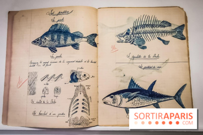 Uderzo, comme une potion magique : l'exposition hommage au Musée Maillol - nos photos