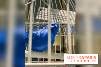 Fake News, l'exposition pédagogique déroutante de la Fondation EDF