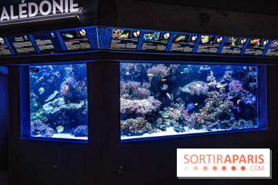 L'Aquarium Tropical de la Porte Dorée