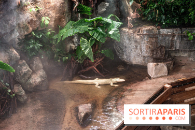 L'Aquarium Tropical de la Porte Dorée