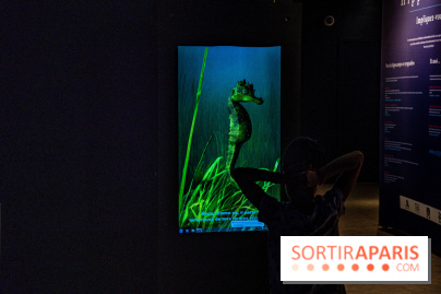 L'Aquarium Tropical de la Porte Dorée