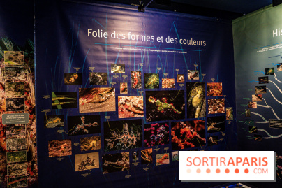 L'Aquarium Tropical de la Porte Dorée