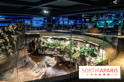 L'Aquarium Tropical de la Porte Dorée