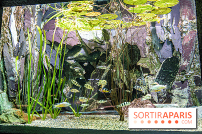 L'Aquarium Tropical de la Porte Dorée