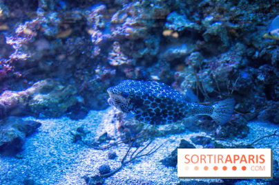 L'Aquarium Tropical de la Porte Dorée