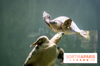 L'Aquarium Tropical de la Porte Dorée