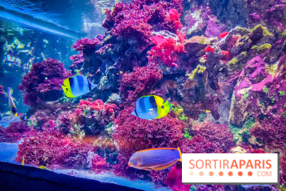 L'Aquarium Tropical de la Porte Dorée