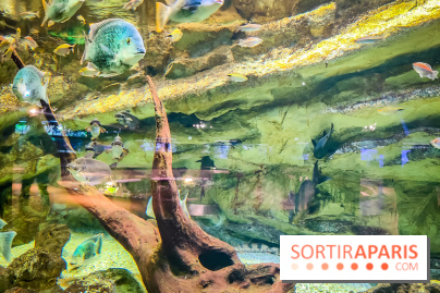 L'Aquarium Tropical de la Porte Dorée