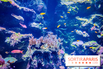 L'Aquarium Tropical de la Porte Dorée