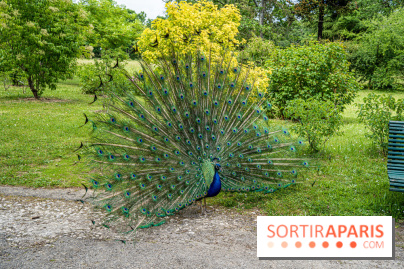 Le Parc de Bagatelle