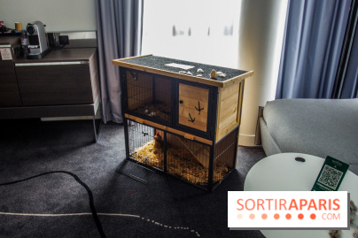 Le « Dîner avec les poules », nos photos