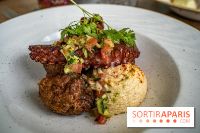 Polpo brasserie, la terrasse péniche 