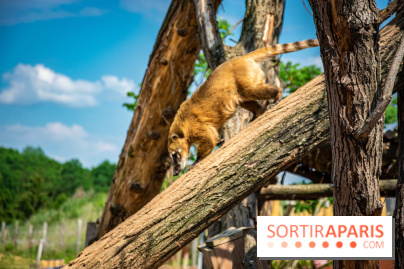Parrot World, le parc animalier immersif d'Île-de-France