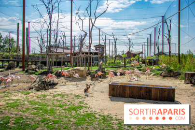 Parrot World, le parc animalier immersif d'Île-de-France