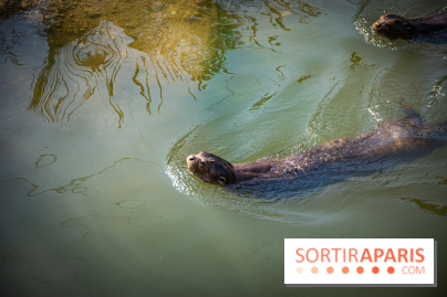 Parrot World, le parc animalier immersif d'Île-de-France