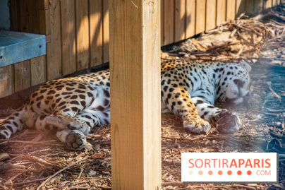 Parrot World, le parc animalier immersif d'Île-de-France