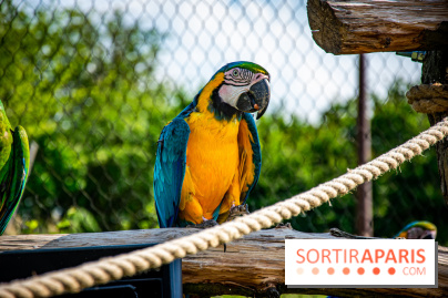Parrot World, le parc animalier immersif d'Île-de-France